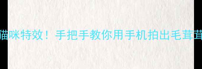 图片 📸最新美颜相机一键生成猫咪特效！手把手教你用手机拍出毛茸茸的猫咪脸（附懒人教程）