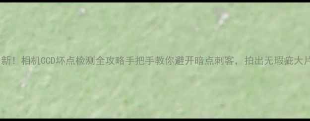 图片 📸最新！相机CCD坏点检测全攻略手把手教你避开暗点刺客，拍出无瑕疵大片！1