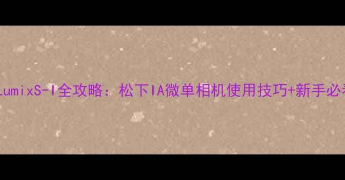 图片 📸松下LumixS-I全攻略：松下IA微单相机使用技巧+新手必看参数2