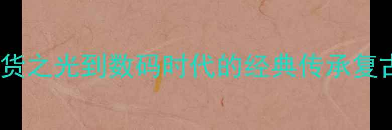 图片 📸海鸥相机历史：从国货之光到数码时代的经典传承复古测评与数码摄影技巧1