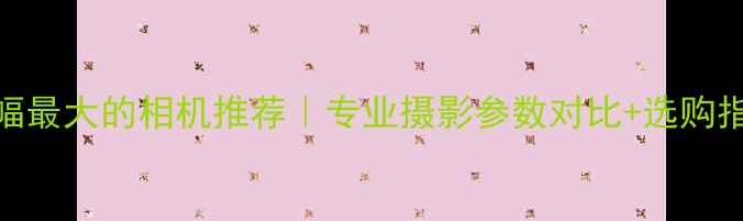图片 📸画幅最大的相机推荐｜专业摄影参数对比+选购指南📸