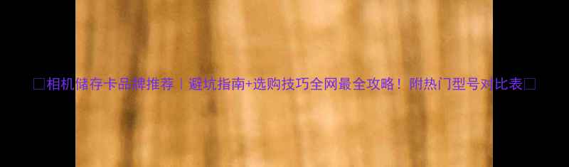 图片 📸相机储存卡品牌推荐｜避坑指南+选购技巧全网最全攻略！附热门型号对比表📌