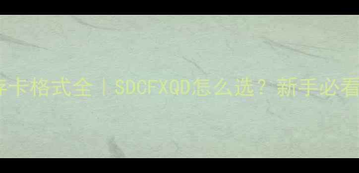 相机内存卡格式全SDCFXQD怎么选新手必看避坑指南