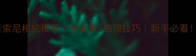 图片 📸索尼相机推荐｜全参数+拍照技巧｜新手必看！1