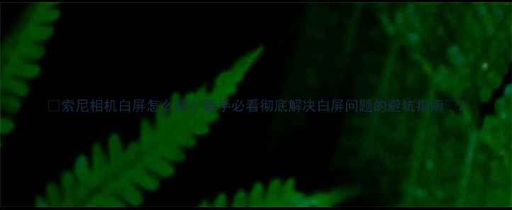 图片 📸索尼相机白屏怎么破？新手必看彻底解决白屏问题的避坑指南📸2