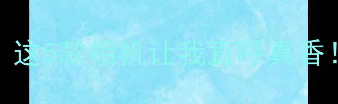 图片 🔥2000元内单反天花板！这5款相机让我直呼真香！附避坑指南+使用技巧1