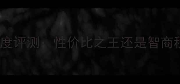 图片 🔥AMDVega非公显卡深度评测：性价比之王还是智商税？亲测6款避坑指南2