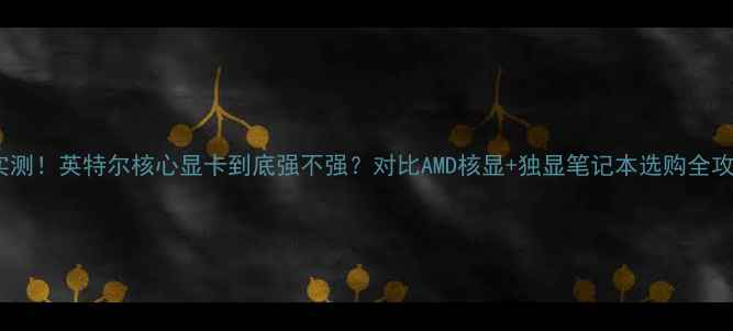 图片 🔥度实测！英特尔核心显卡到底强不强？对比AMD核显+独显笔记本选购全攻略💡2