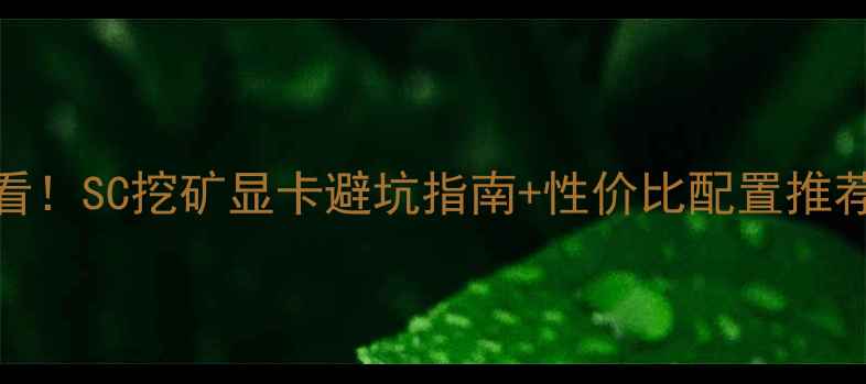 必看SC挖矿显卡避坑指南性价比配置推荐