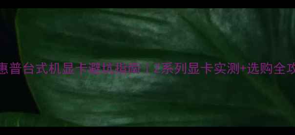 惠普台式机显卡避坑指南Z系列显卡实测选购全攻略