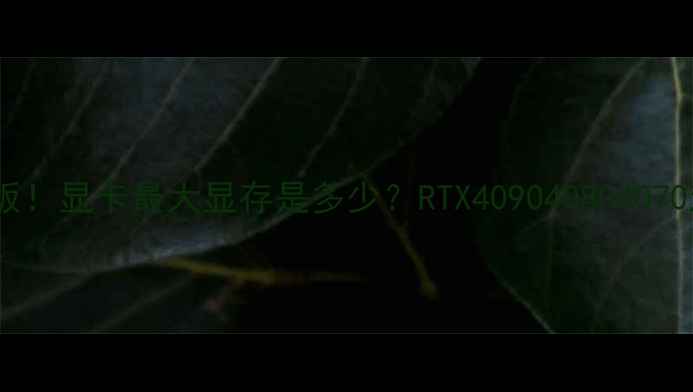 图片 🔥显存天花板！显卡最大显存是多少？RTX409040804070对比实测🔥2