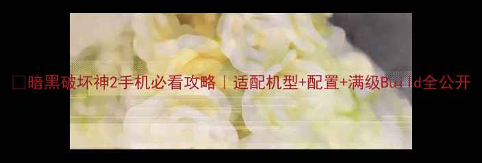 图片 🔥暗黑破坏神2手机必看攻略｜适配机型+配置+满级Build全公开