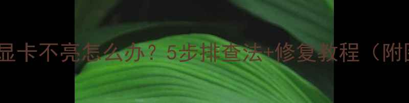 图片 🔥独立显卡不亮怎么办？5步排查法+修复教程（附图）🔥1