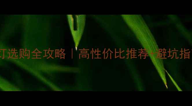 图片 🔥相机闪光灯选购全攻略｜高性价比推荐+避坑指南+使用技巧