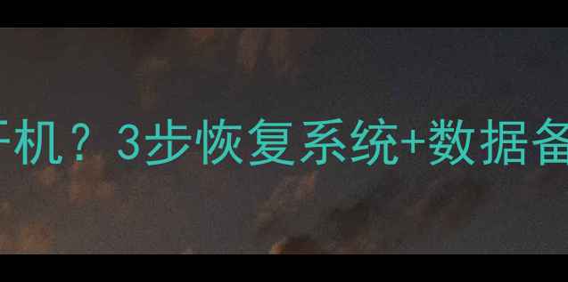 电脑蓝屏卡死无法开机3步恢复系统数据备份指南小白必看
